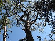 St. Augustine - Jan 2012 128